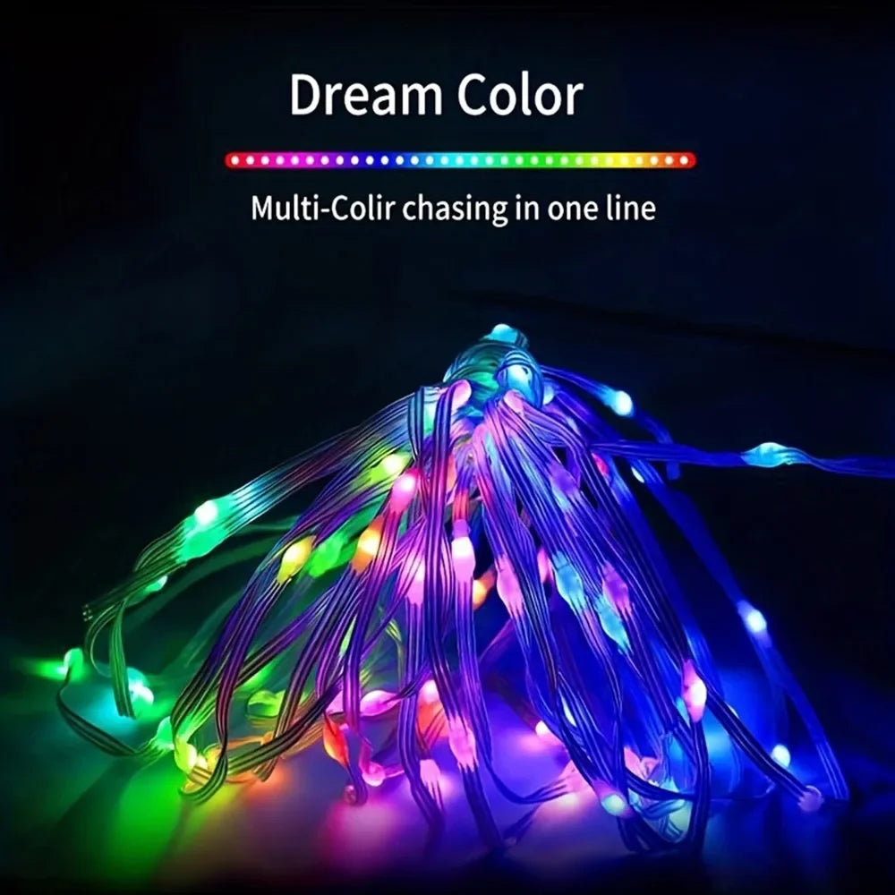 WS2812 LED String Light USB 5V Smart IC Party Christmas Fairy Lights Garland Decorations Bluetooth 5-20m Addressable Dreamcolor