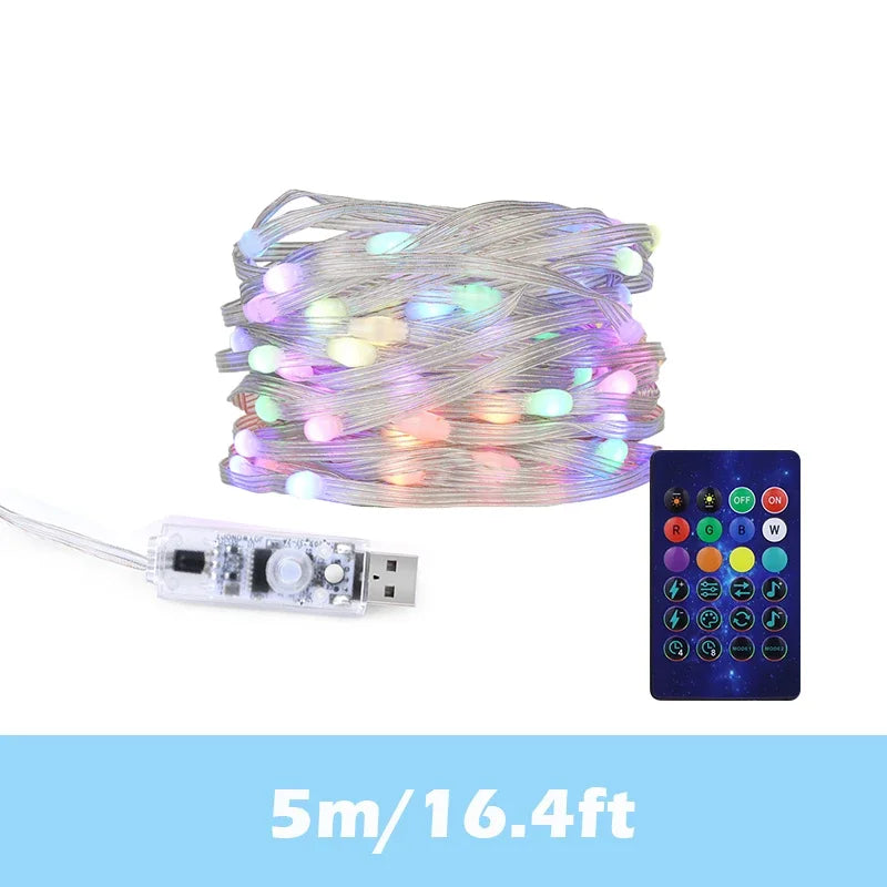 WS2812 LED String Light USB 5V Smart IC Party Christmas Fairy Lights Garland Decorations Bluetooth 5-20m Addressable Dreamcolor